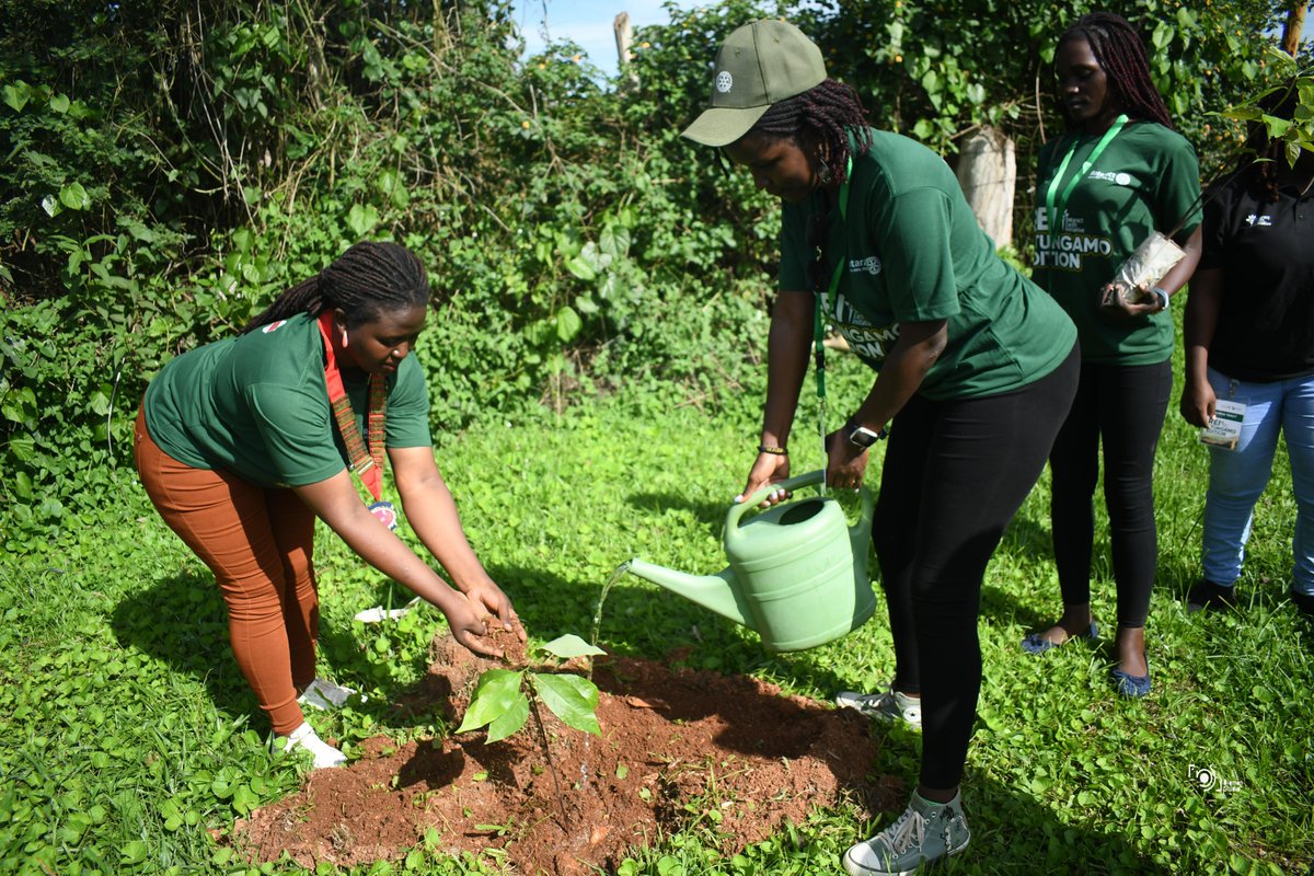 RotaractD9214's tweet image. #REINtungamo; what started off as a single-country project to raise awareness about environmental conservation has now become a multi-country project in partnership with RI Districts @Rotaract_D9212 and 9150

Details: shorturl.at/cxz25 | #CreateHope