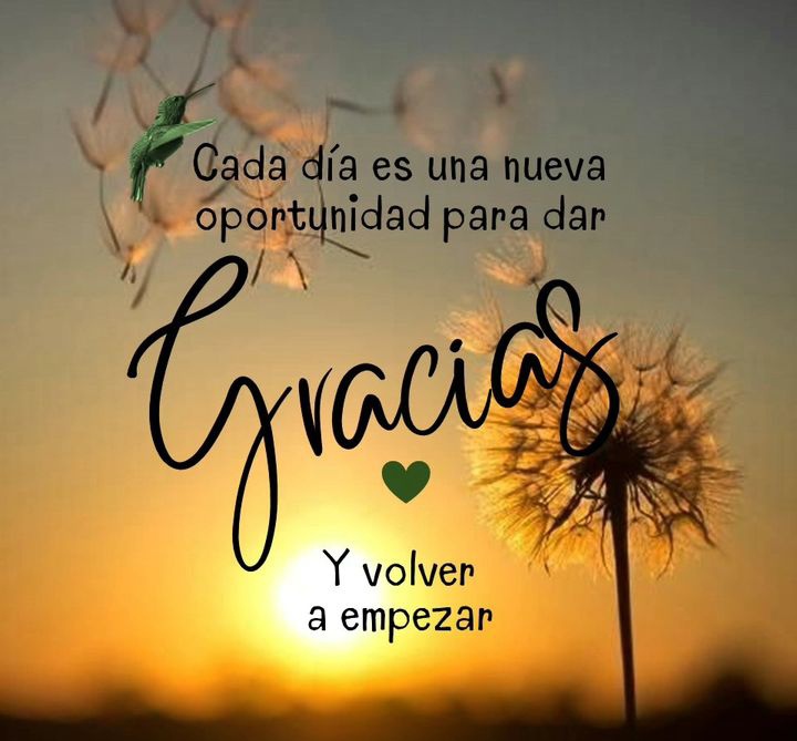 aydee_rodri's tweet photo. Buenos días https://t.co/WWD9Bf73hZ