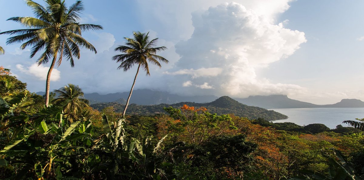 Alexander Appleyard tweet media