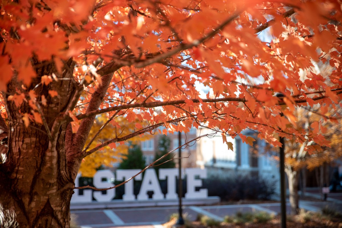 MSU Career Center tweet media