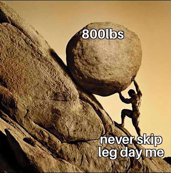 MuscleInu's tweet photo. Never skip them

#gym #bodybuilding #Memes https://t.co/FZwFIJKLbr