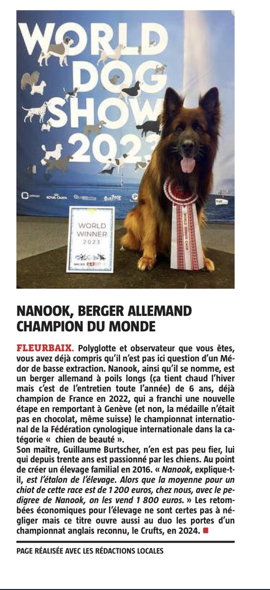AFI_Bib's tweet photo. #lecturePublique - Nos clients ont du talent !
Et les Nanook ont bien des qualités 😉
Malheureusement, AFI ne fournit pas le chien, uniquement l'ours 🐻‍❄️
#Collterr #Nanook #SIGB https://t.co/5nsNrdt9E3