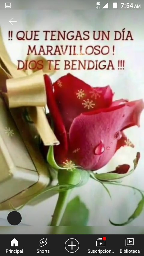 Rosa Ibarra (@rosaiba58330843) on Twitter photo 