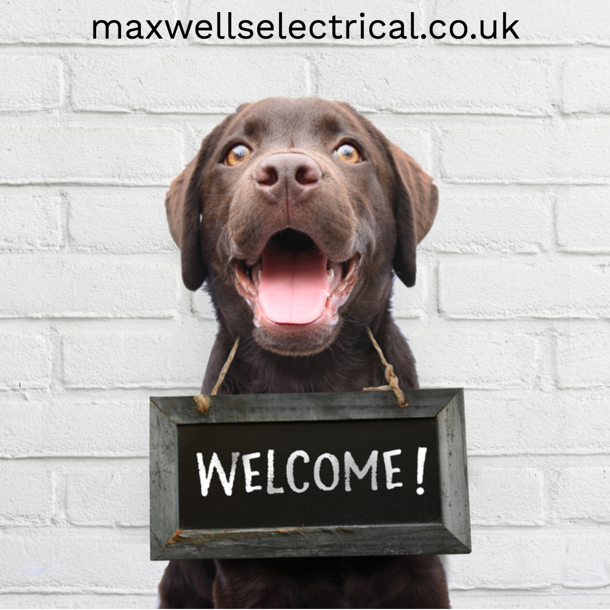 We are dog friendly! Bring your canine friends for @Lovenorthallerton DogDayz weekend in Northallerton 
They get fuss and treats while you shop!
Buy in store or online today maxwellselectrical.co.uk
#KitchenAppliances #TVandEntertainment #DogFriendlyShop #FreeLocalDelivery