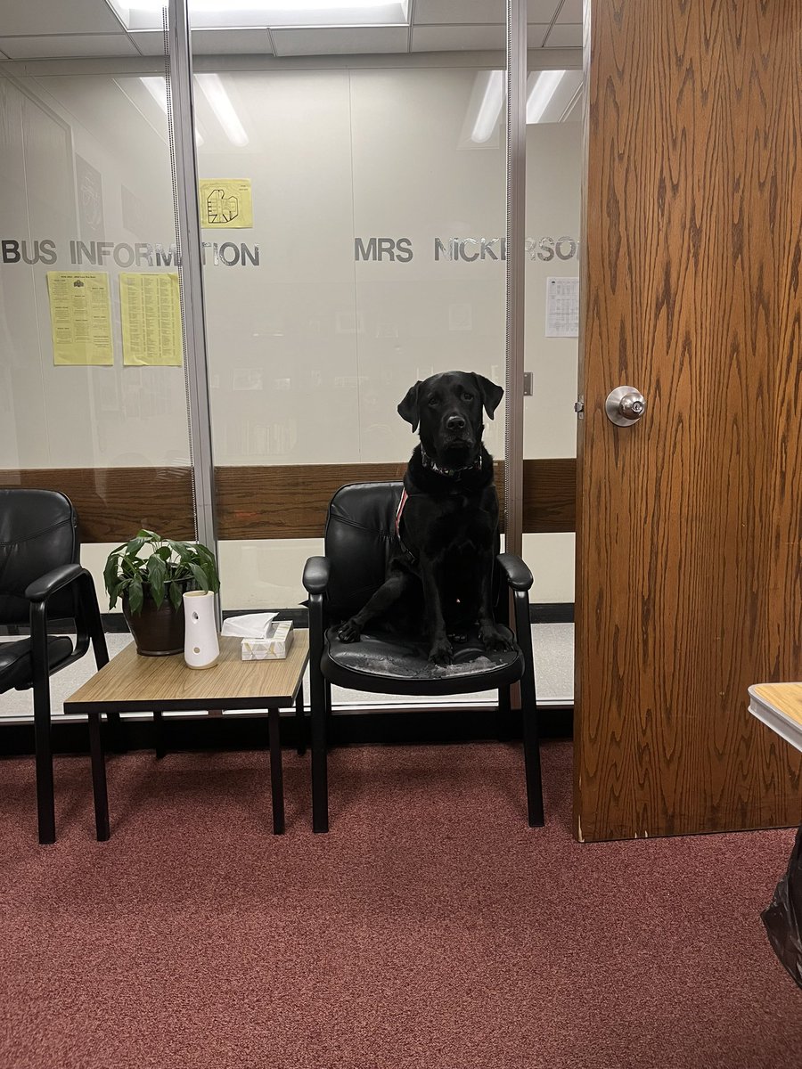 Look who got in trouble for wanting treats but not listening…