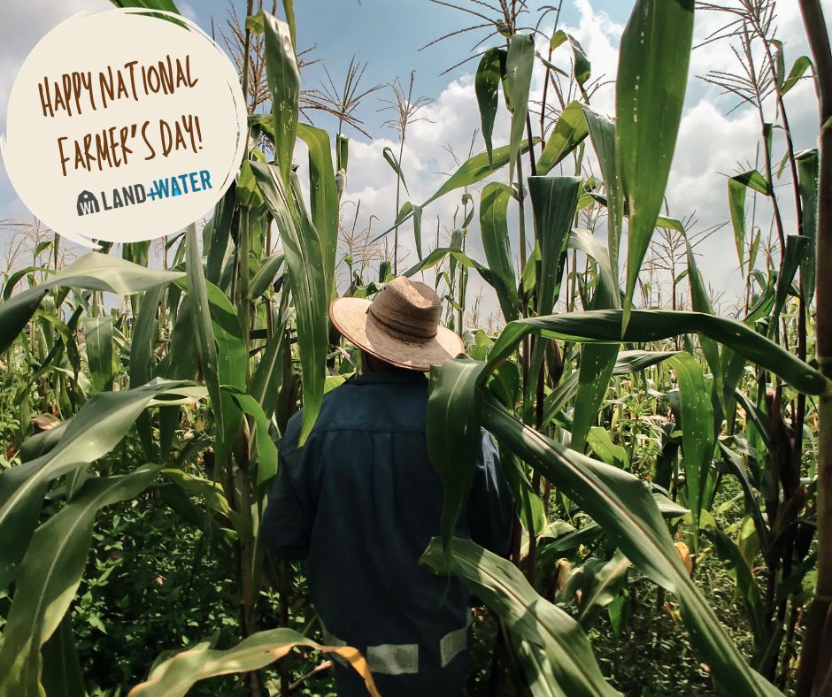 wilandwater's tweet photo. 🌾🚜 Happy National Farmer's Day! 🚜🌾

From sustainable farming practices to preserving our natural resources, Wisconsin farmers are at the forefront of conservation efforts. Their commitment ensures that our state remains beautiful and bountiful! #NationalFarmersDay https://t.co/hOzHAglgmR