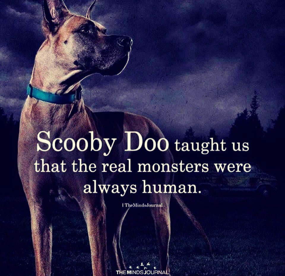 Sherry Reich tweet media