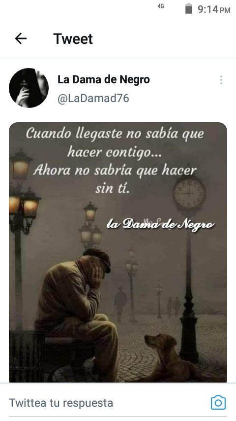 Rosa Ibarra (@rosaiba58330843) on Twitter photo 