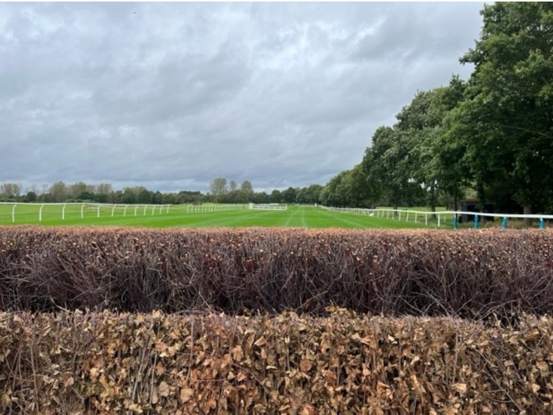 CoastNorfolk's tweet photo. On - Site, Race Meeting 

Friday 20th October 

Pre-race inspection completed and the course is in good order.

https://t.co/TKjTvxWjg5 to book online in advance, and save up to £2.50 per person.

please visit  https://t.co/TKjTvxWjg5 01328 862388 

@FakenhamRC https://t.co/nWPN5sBZQv