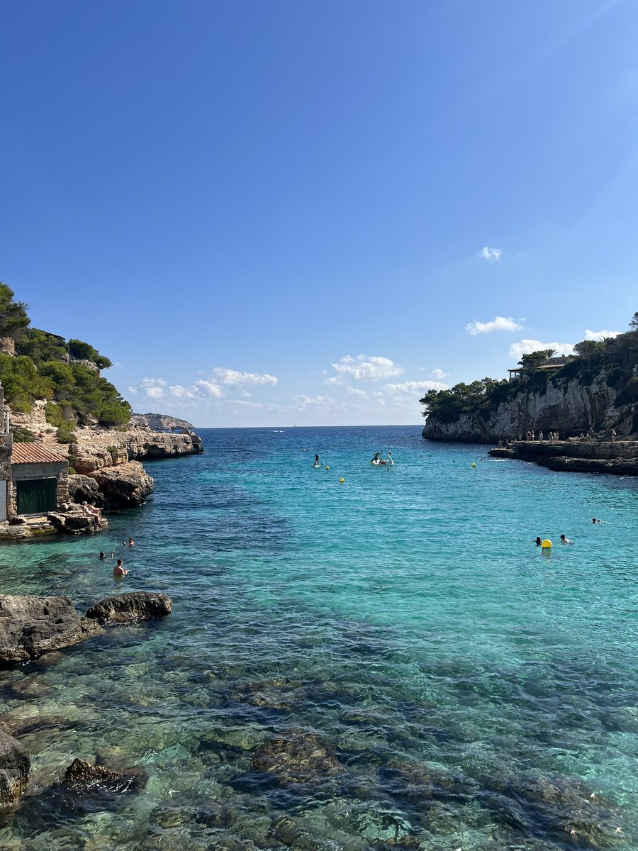 v4run.eth tweet media