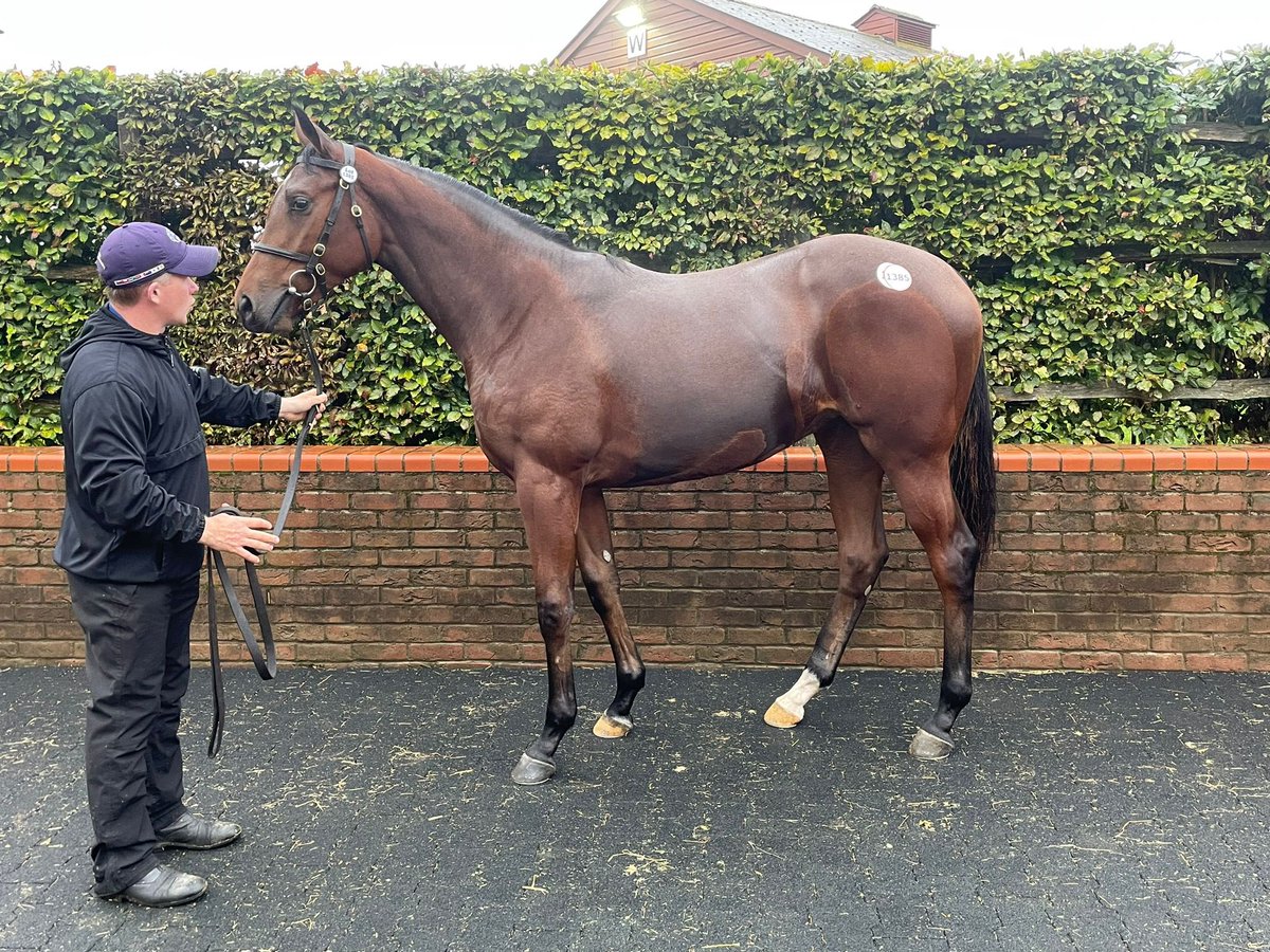 Rebecca Menzies Racing tweet media