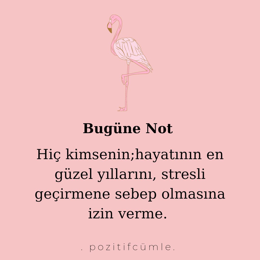 POZİTİF CÜMLELER (@pozitifcumle) on Twitter photo 
