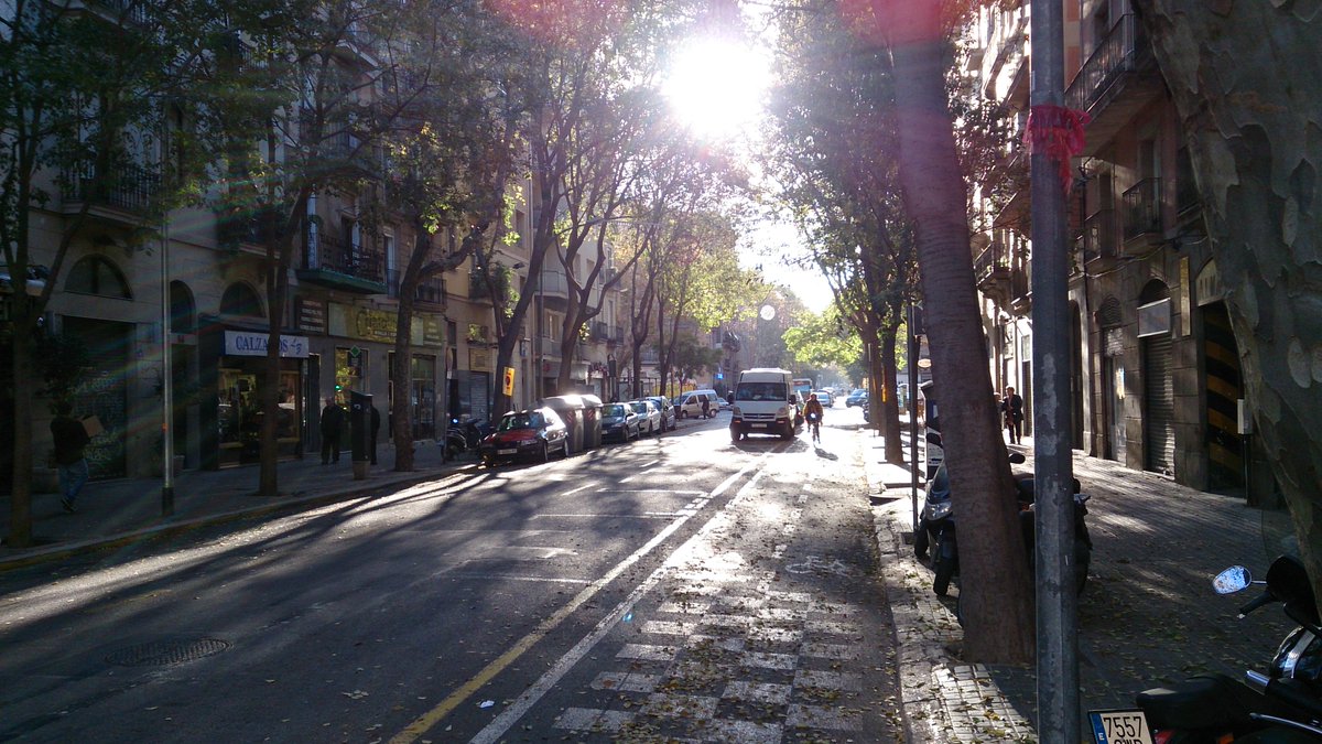 Antoine Allard tweet media