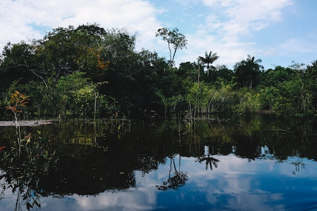 BiogenBR's tweet photo. MILHARES DE ESTRUTURAS ANTIGAS PODEM ESTAR ESCONDIDAS SOB O SOLO DA AMAZÔNIA

DOI: 10.1126/science.ade2541
Credibilidade: 999
#Amazônia

Poucos lugares na Terra moldam a nossa impressão de um ambiente intocado como o coração da Amazônia. Ao longo de 6,7 milhões de quilómetros quadrados, praticamente cada pedaço de solo, cada folha, cada poça de água fervilha e floresce com uma vida selvagem que desafia a domesticação.

No entanto, entre a trama de raízes de árvores e vegetação apodrecida, escondida por camadas de terra e pelo caos da vegetação, há provas crescentes da influência humana que remontam a milhares de anos.

Em um novo estudo, o cientista de sensoriamento remoto Vinicius Peripato, do Instituto Nacional de Pesquisas Espaciais do Brasil, liderou uma grande equipe de pesquisadores na investigação de sinais de terraplenagem encontrados em 5.315 quilômetros quadrados de dados LIDAR.

Uma espécie de sistema de radar baseado em luz, o LIDAR usa o tempo de flashes de laser emitidos por uma aeronave para espiar através de camadas de folhagem, solo e outros materiais para mapear variações nas estruturas, revelando potencialmente o trabalho manual dos humanos.

A tecnologia provou o seu valor ao remover repetidamente camadas de vegetação nos trópicos, revelando assentamentos maias ocultos e terraplenagens de aldeias há muito abandonadas nas profundezas da Amazônia.

O fato de esta última análise do solo sob a copa da floresta amazónica ter revelado sinais de ocupação humana pré-colombiana não deveria ser uma grande surpresa.

Mas o que é chocante é a escala. Numa única varredura, a equipe encontrou 24 perturbações anteriormente não identificadas no solo em formas, localizações e arranjos que implicavam fortemente origens arquitetônicas.

https://t.co/dwjKazdzzv