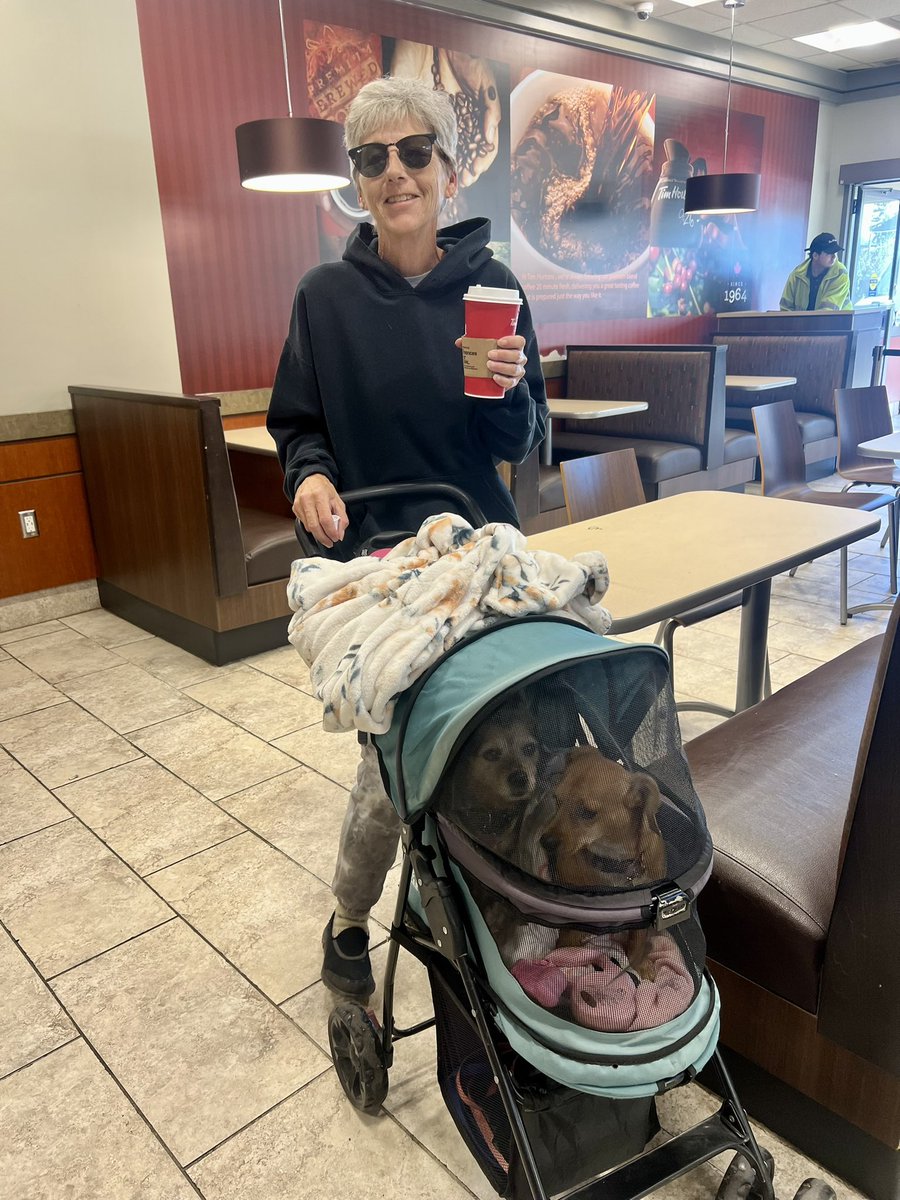 KtownTimmy's tweet photo. Two cute little guests were in our Collins Bay location for their morning coffee! 🐾#ygk https://t.co/l3cCMx8IyK