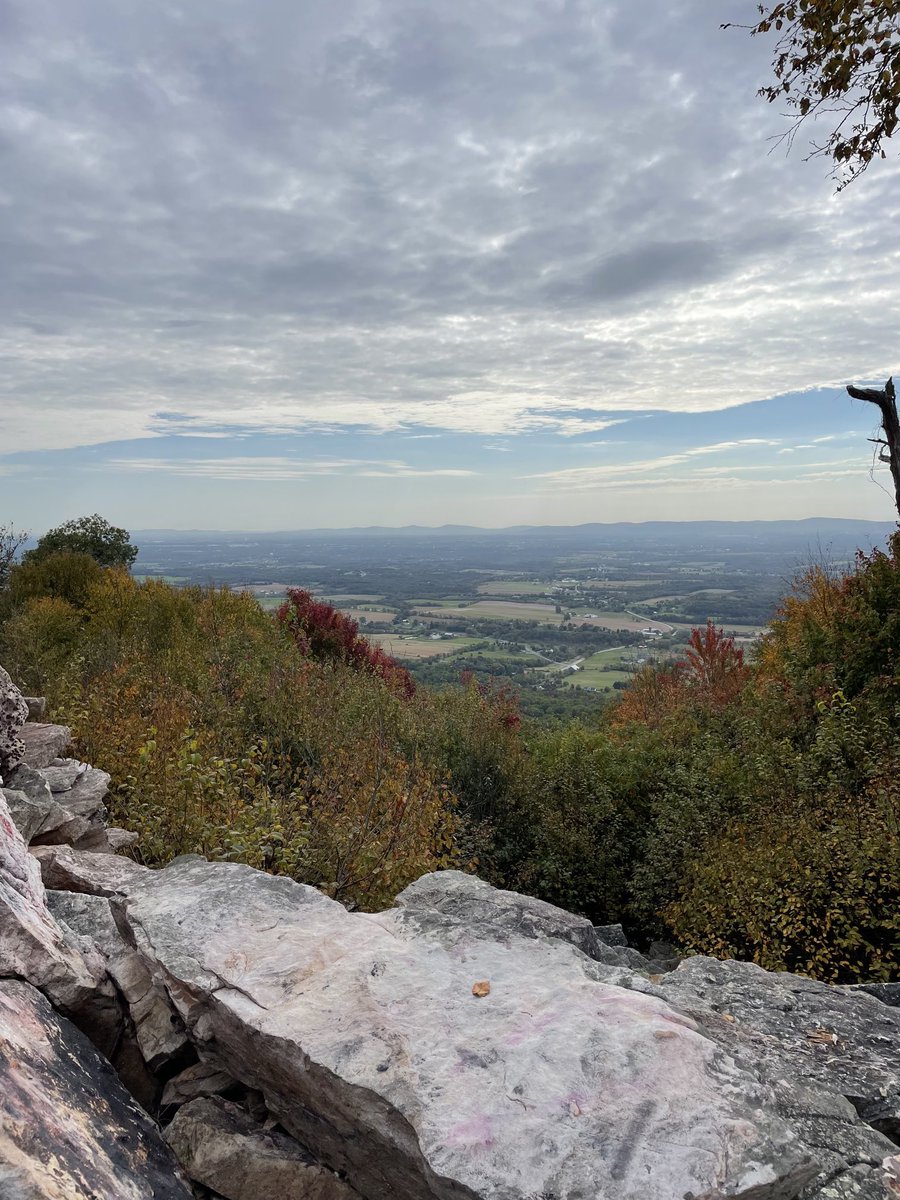 Guy726's tweet photo. Our view this morning! Hawk hunting with our camera at Wagonner’s Gap near Carlisle, OA. https://t.co/ILMVxNP4B3