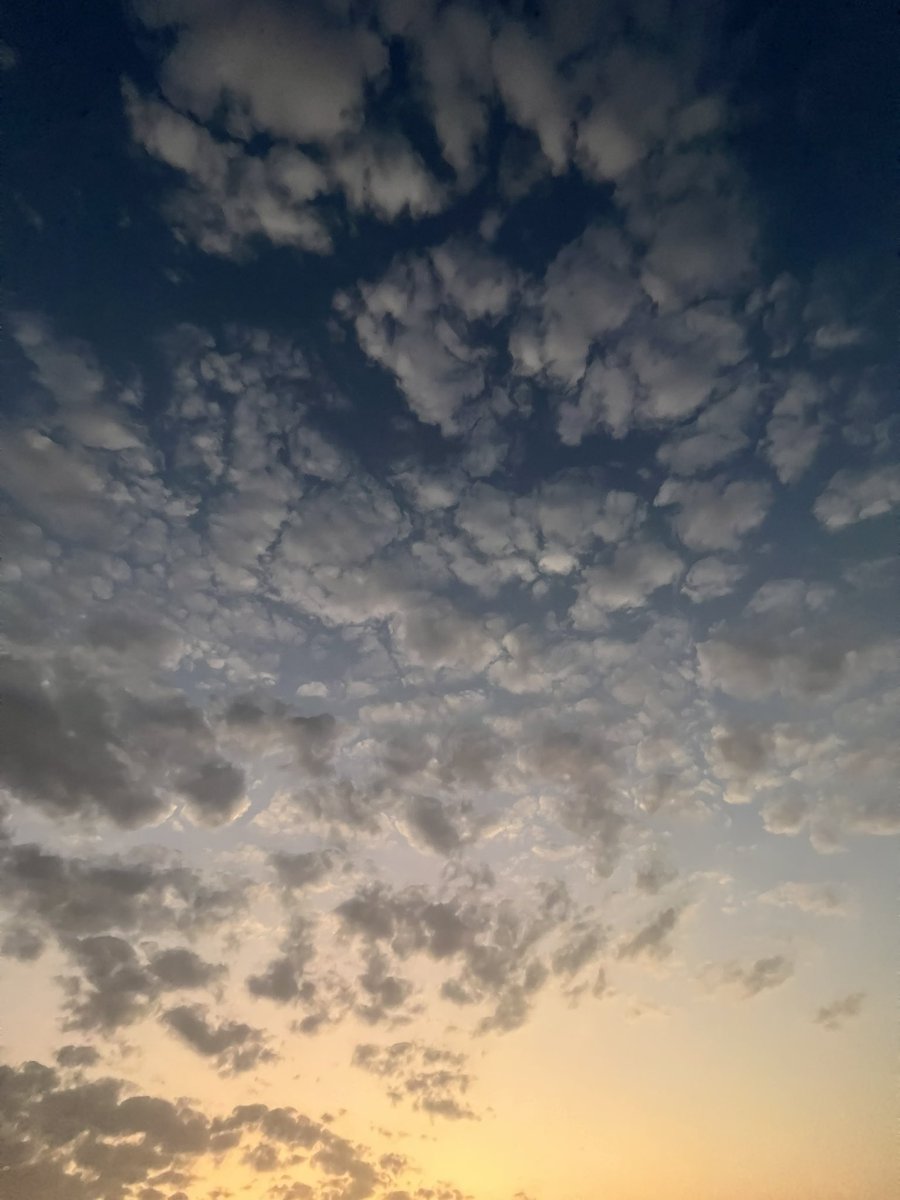 غربت شمس اخر يوم في سكربت💔
 #سكربت98