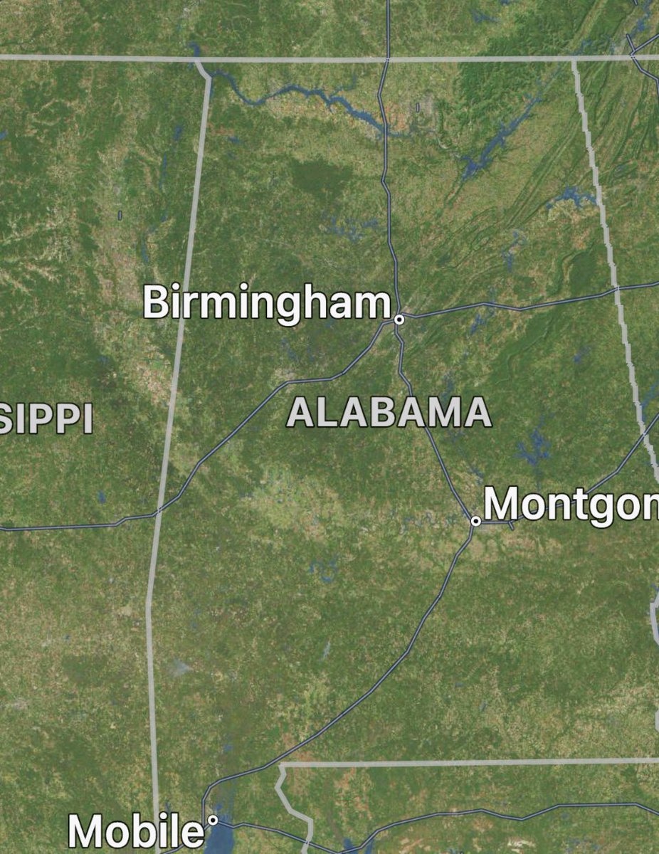 Kyle🤖🚀🦭 tweet media