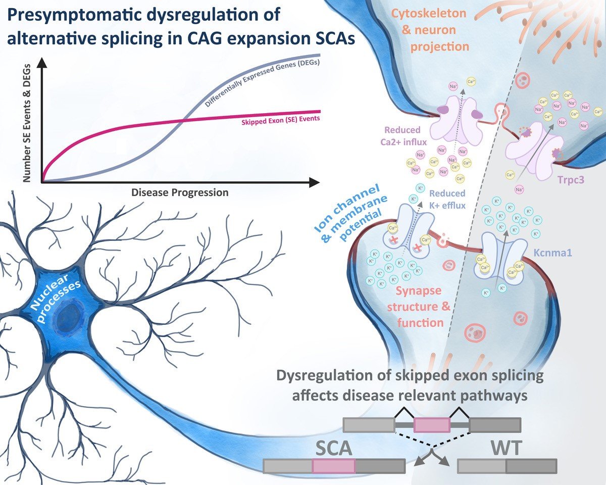 The RNA Institute tweet media