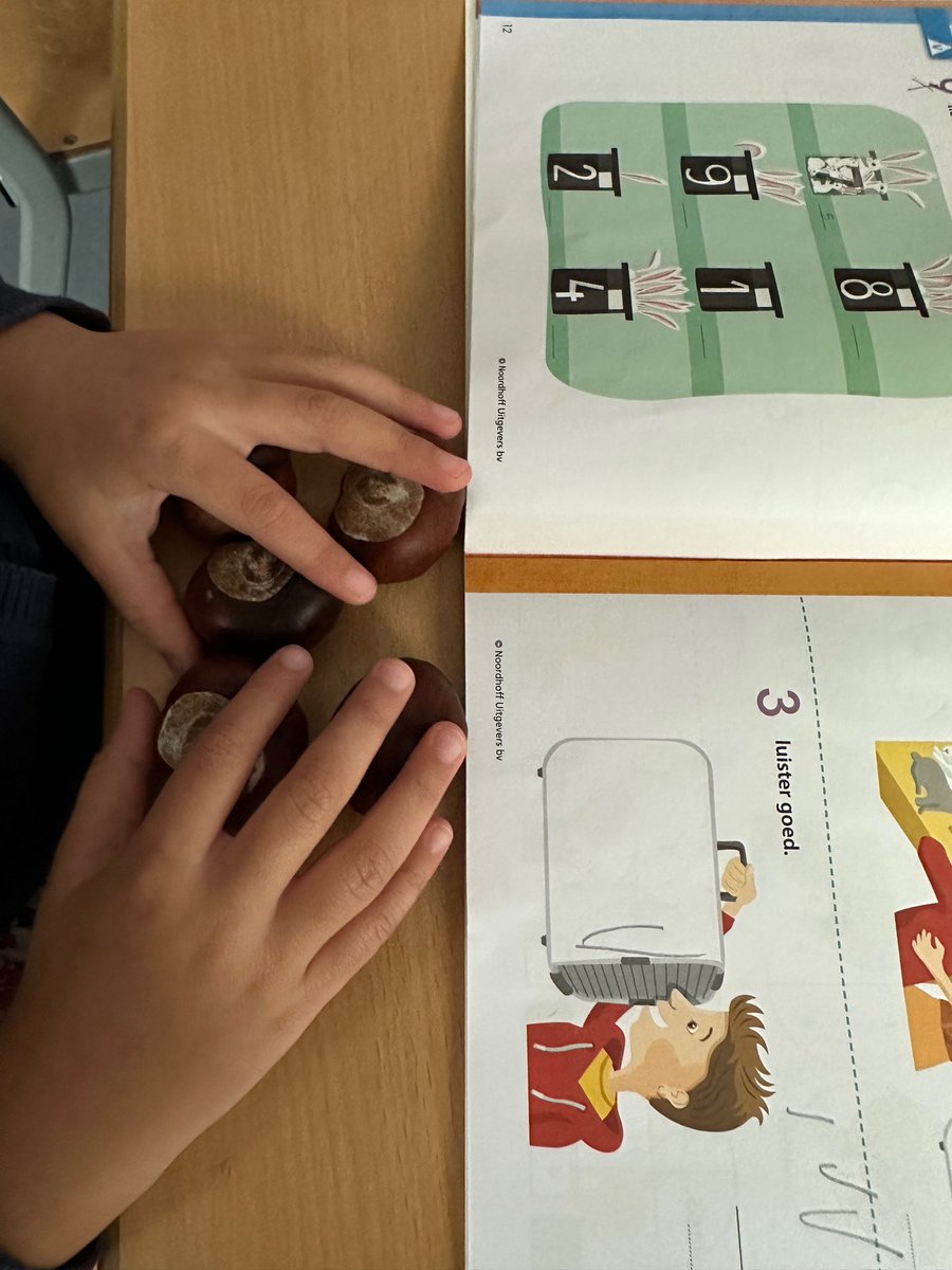 schoolaliman3's tweet photo. Groep 3b heeft de herfst naar binnen gehaald om het rekenen op te leuken. Vandaag hebben ze leren 'splitsen' met kastanjes. 🍂 https://t.co/cefQWu6byw