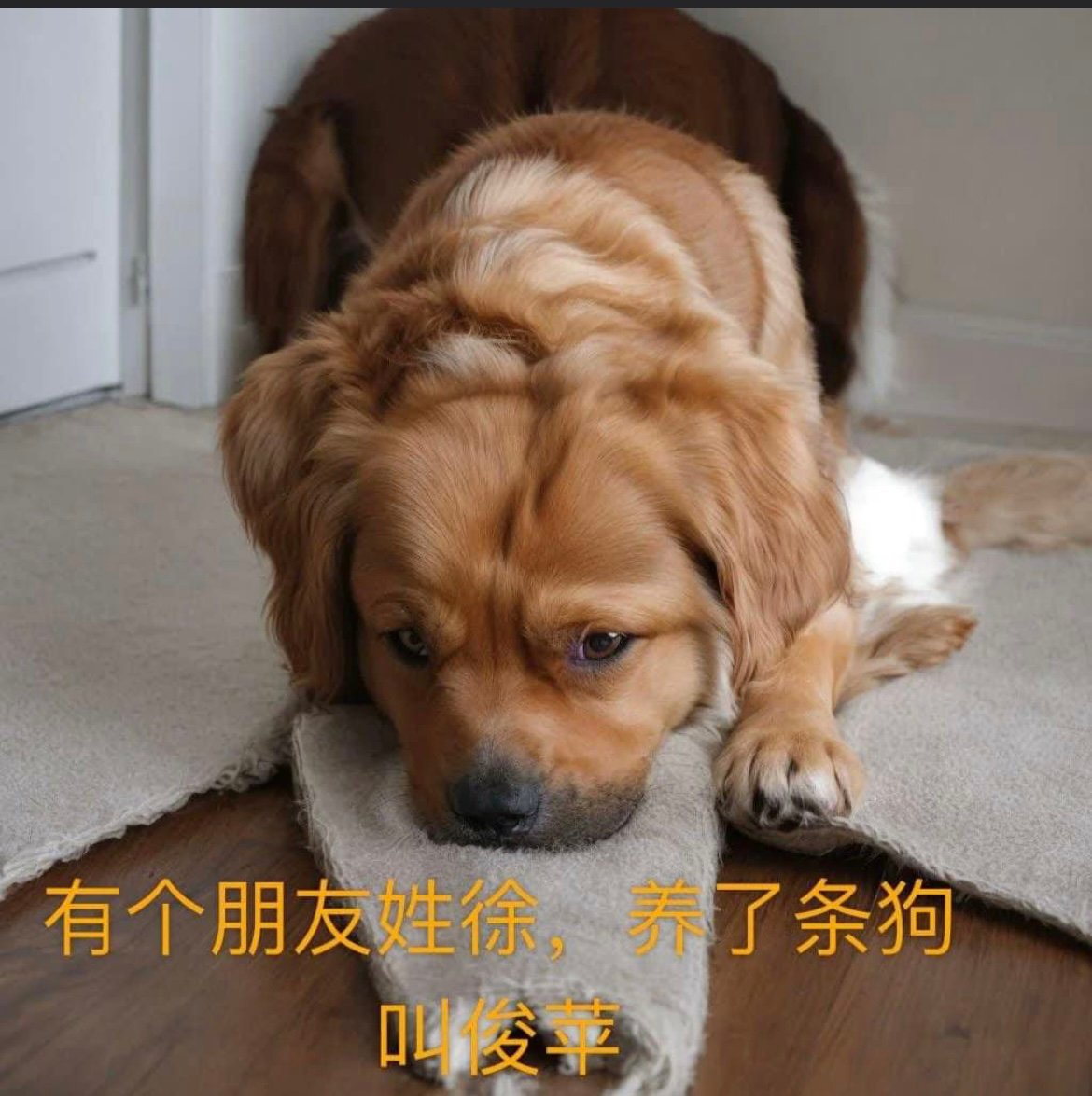 CHINESE VIRUS (@viruschinese1) on Twitter photo 