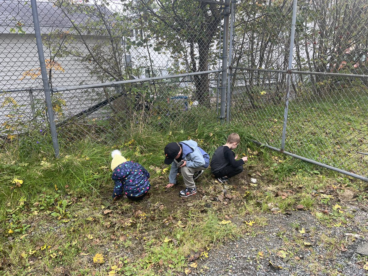 MrsCaines2019's tweet image. Who says you can’t do math outside? 

S: “I have 5 worms!” 
S2: “I have 10!” 
S3: “wow! That means we have 15 worms in total!” 

🪱 🪱

#MathOutside #TrueStory #ProudTeacher