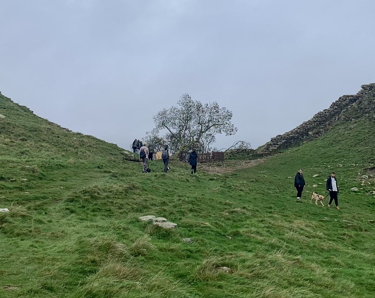 After a site visit to a project in the North East, a lunchtime run along Hadrians Wall past the Sycamore Gap revealed the recent vandalism carried out. Such a shame to see it like this