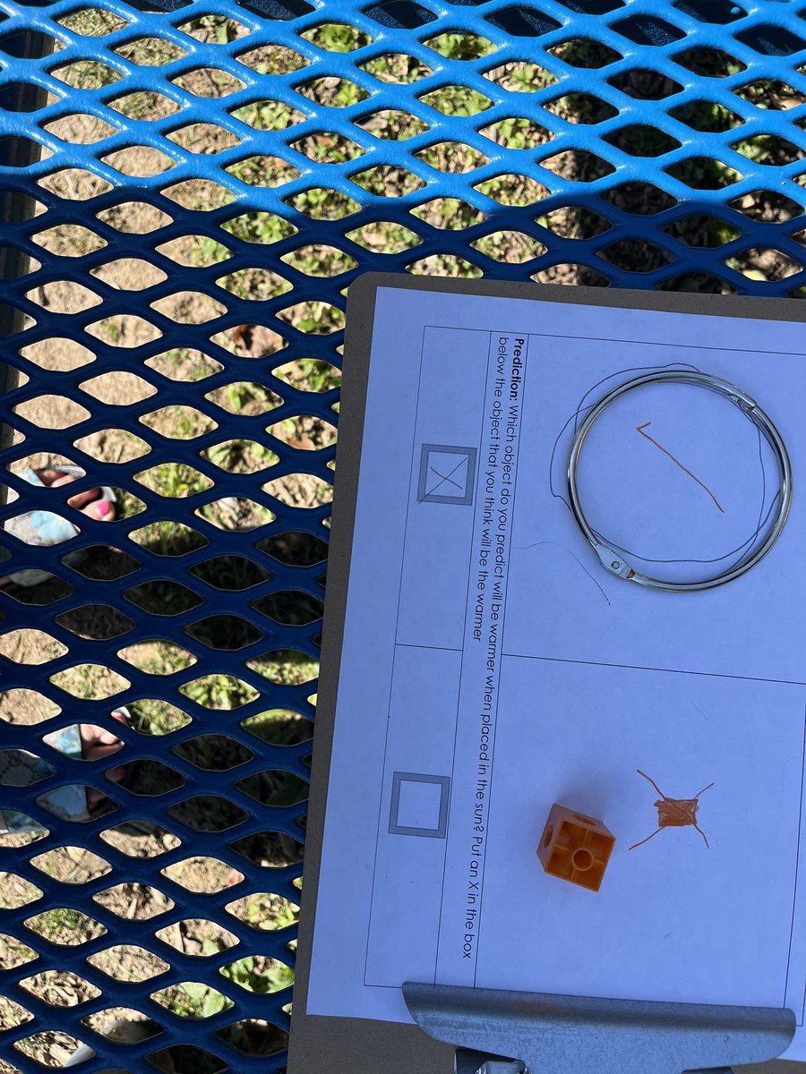 Meredith Grossbach tweet media