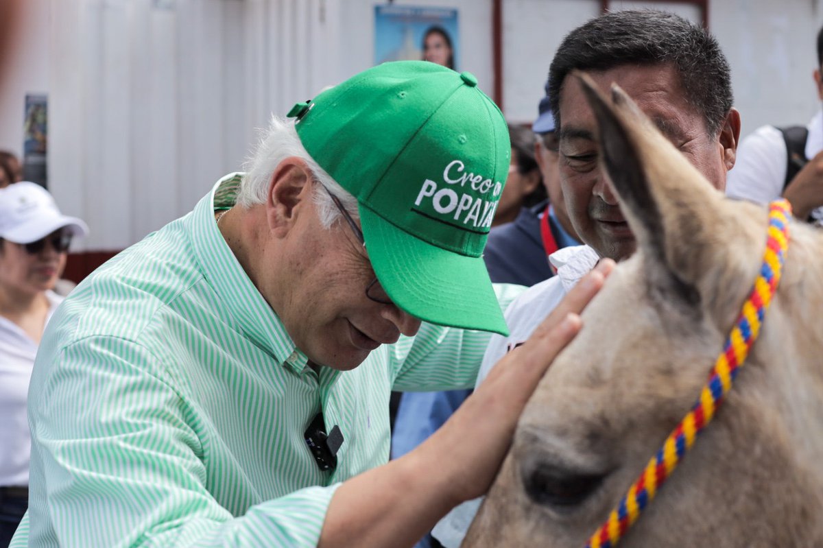 jclopezcastri's tweet photo. 🐴🥺 ¡Lágrimas y sonrisas de emoción. Sentimientos de gratitud!

Estas imágenes representan un momento histórico: la primera jornada de sustitución de carretillas en Popayán. https://t.co/gwgoQJm5qv