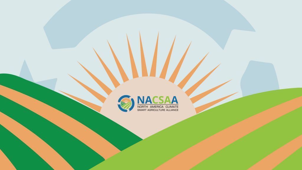 NACSAAlliance's tweet photo. NACSAA News: Fall 2023 https://t.co/BQNeVXT1Ra https://t.co/ILafNZs5rX