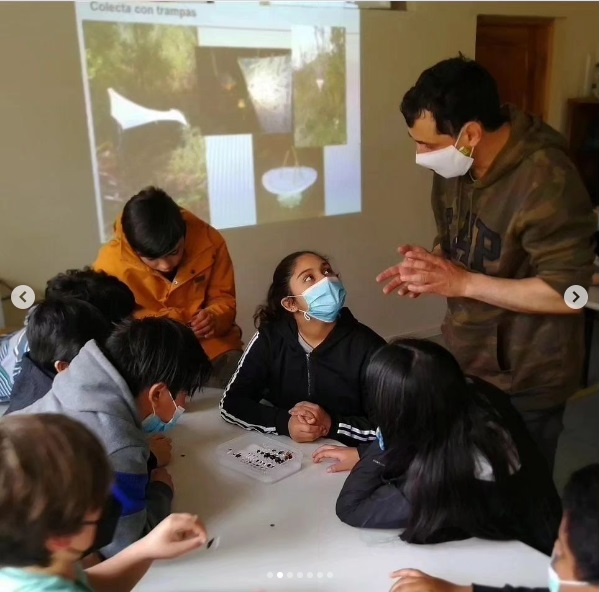 Nuevo ciclo de talleres a cargo de nuestro investigador @amouroux_paul. 🗓️Primer sábado de cada mes a las 12:00 horas en el Mercado Sustentable de Vitacura shre.ink/Ub90. Los talleres buscan 'Educar sobre la belleza y el rol de los insectos'. 👉shre.ink/Ubq6