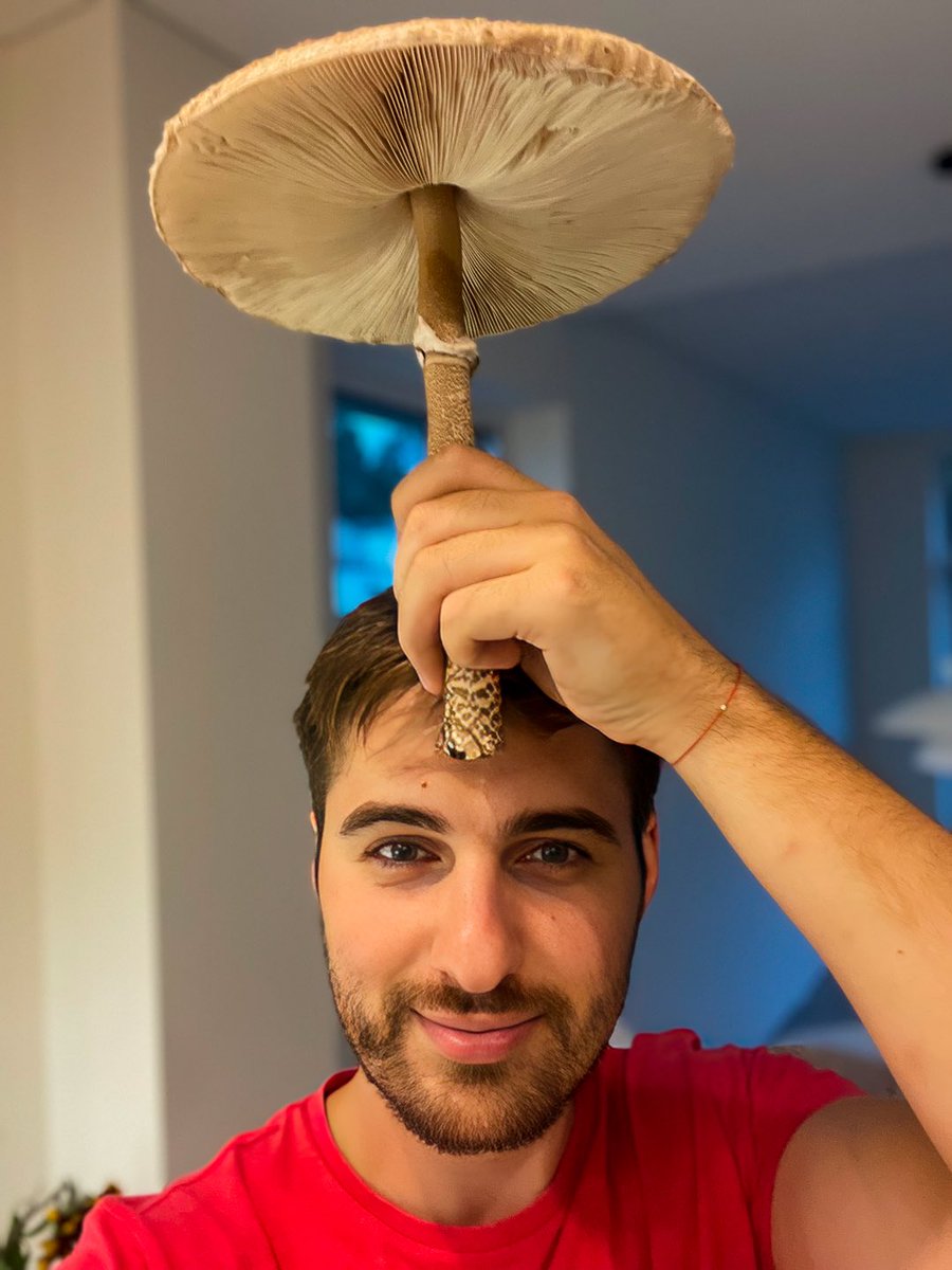 Hello Autumn 🍂🧡

#hello #autumn