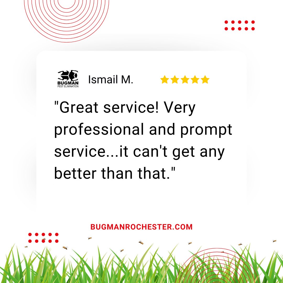 bugmanrochester's tweet image. 😍 𝗪𝗲 𝗹𝗼𝘃𝗲 𝘄𝗵𝗮𝘁 𝘄𝗲 𝗱𝗼 𝗮𝗻𝗱 𝗶𝘁 𝘀𝗵𝗼𝘄𝘀..."Great service! Very professional and prompt service...it can't get any better than that." - 𝘐𝘴𝘮𝘢𝘪𝘭 𝘔.

bugmanrochester.com

#bugman #exterminator #pestcontrol #rodentcontrol #rochesterny
