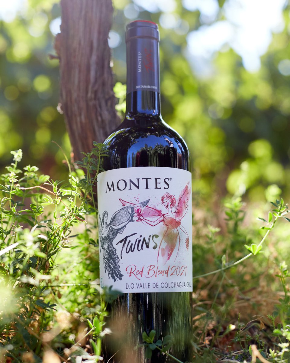 Some nights call for the bold and vibrant flavours of Montes Twins, a red blend that awakens your taste buds and sets the stage for memorable evenings. Have you tried it yet?