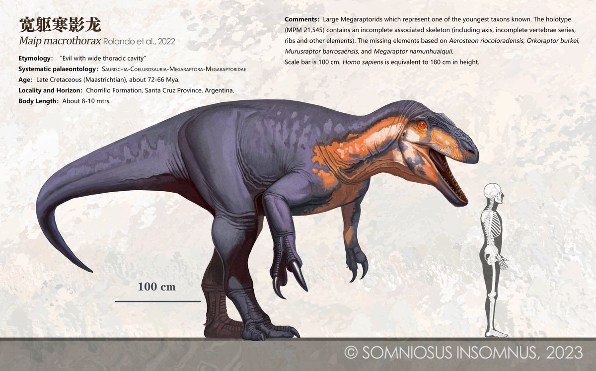 Somniosus insomnus💤 tweet media