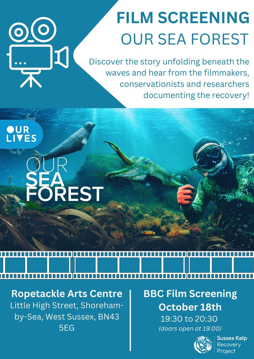 📽️FREE FILM EVENT!📽️ 🎞️We are holding a public screening of the @bbc film 'Our Lives: Our Sea Forest', followed by a Q&A session with a panel of filmmakers & the Sussex Kelp Recovery Project 🗓️ Wednesday 18th of October⏰19:30📍Shoreham-by-Sea ropetacklecentre.co.uk/events/film-sc…🎥@bigwavetv