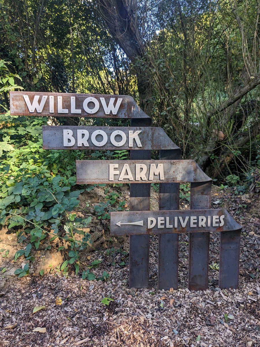 Joel Tarr tweet media