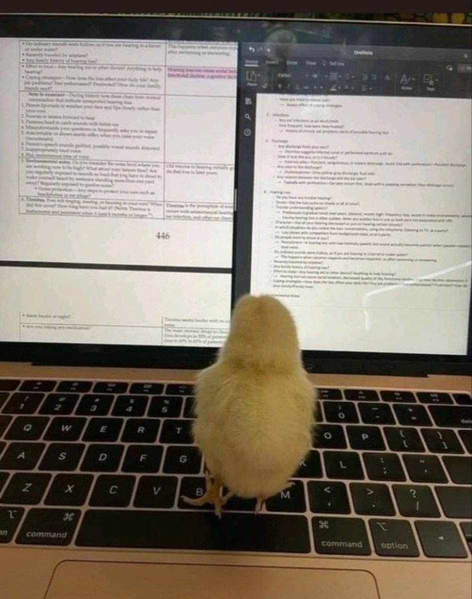 oku kızım elin horozuna muhtaç olma