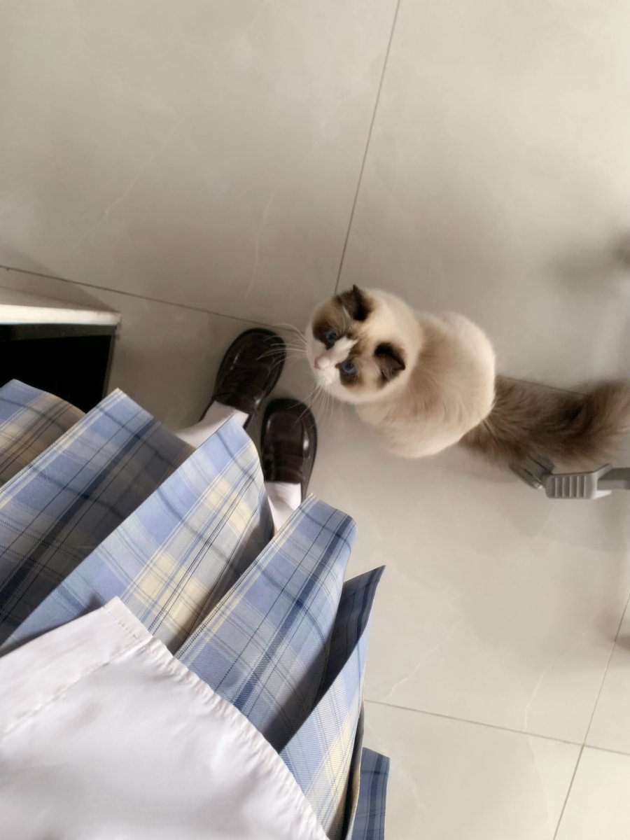 随手拍小猫 https://t.co/9NkIJXBKUG