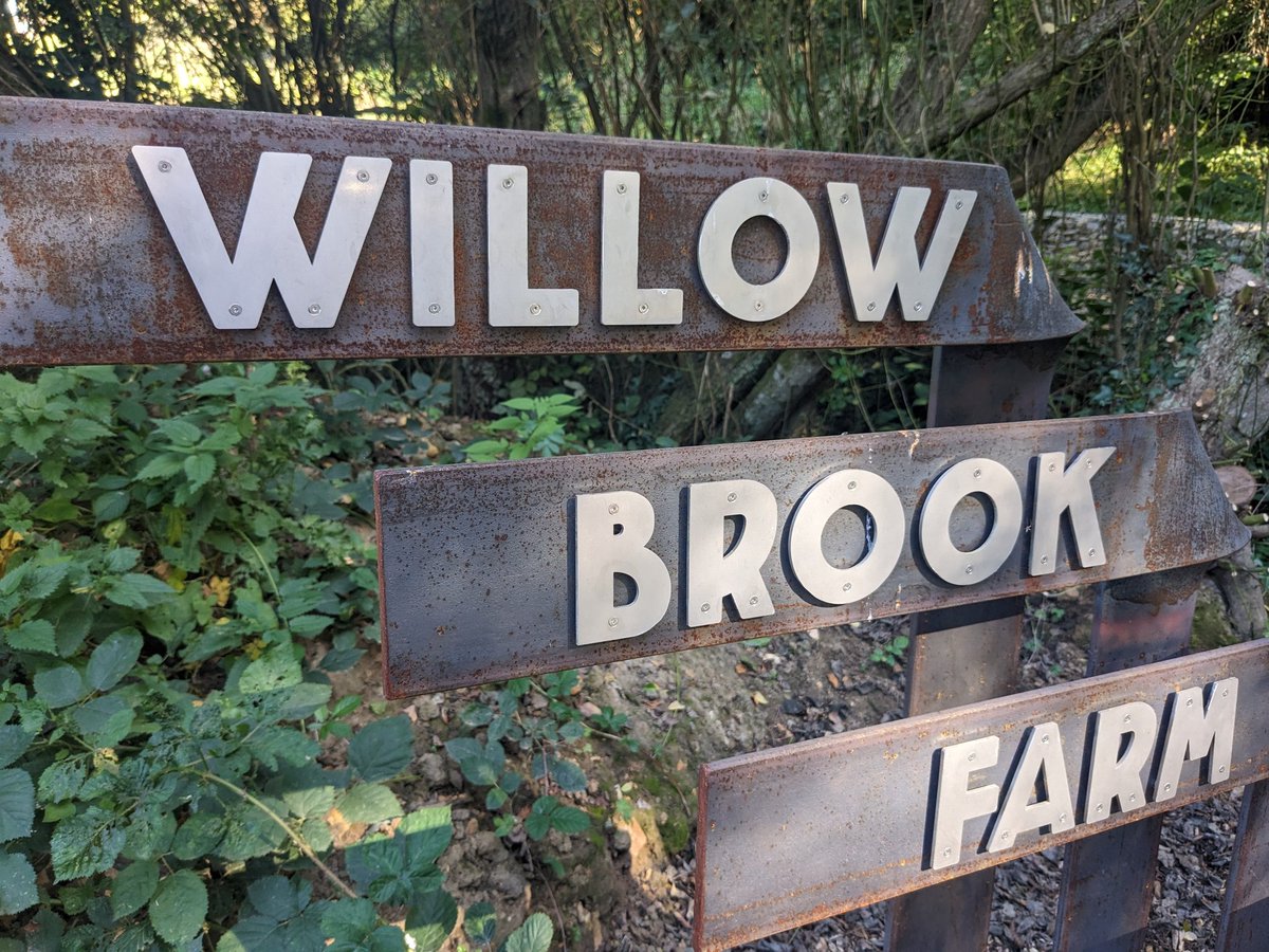 Joel Tarr tweet media