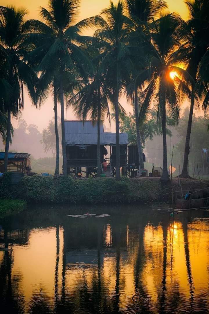 This is a tranquil and peaceful dawn scenery. The rustic and simple rural beauty remains intact in Southern Vietnam.

#Travel #Vietnam #MekongDelta #CentralVietnam #sunrise #DAWN #peaceful #canel #tourism #vietnamtour #nature #tranquil