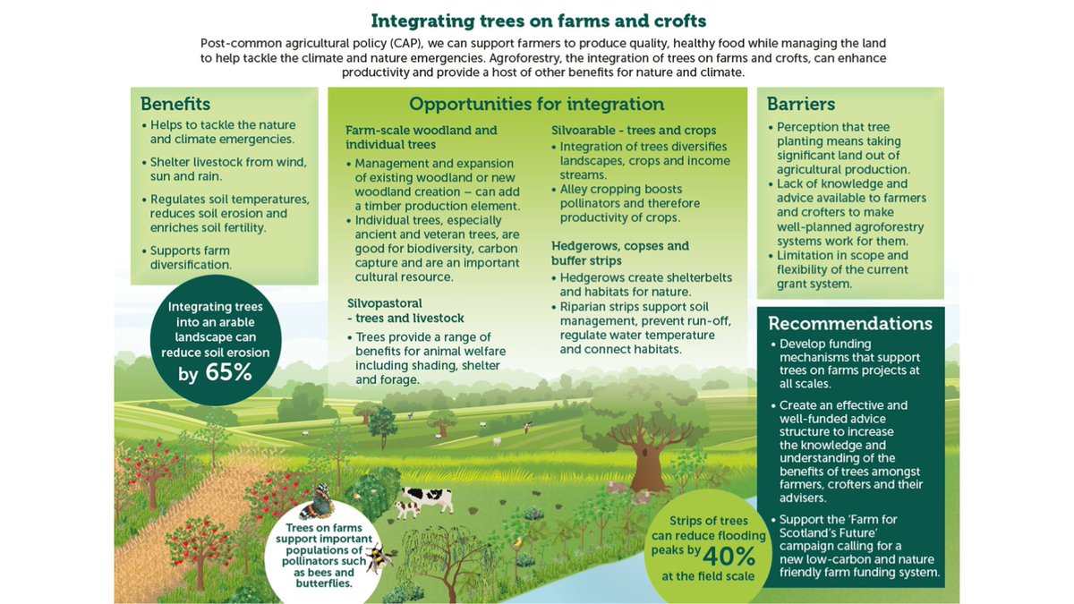 🌳 Integrating trees with farming can increase productivity by 40% 🐄 🌾 🐑 🍎 

Read the full report here 👀 👉  bit.ly/3RLtqn4

🚜Support the #FarmForScotlandsFuture campaign bit.ly/3Ob3KNt

#NationalFarmersDay