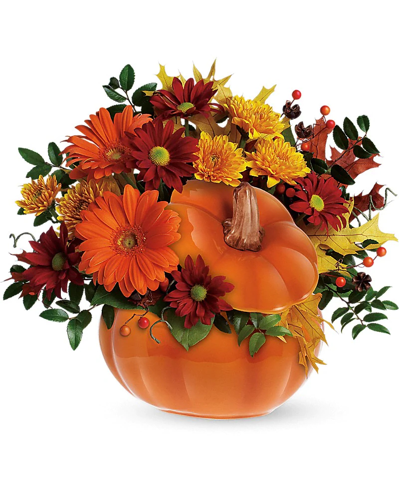 HuismanFlowers's tweet photo. ππWhether you like Classy Fall, πΉAutumn Plants πͺ΄ or want to send a fall gift 'just because,' weβve got something for everyone! https://t.co/2SQ0AMyxIS
π
π»
#fallflowers #autumn #pumpkins #grandhaven #hollandflorist #mums #fallplants #floralarrangement #huismanflowers https://t.co/CgxEqRy7c6