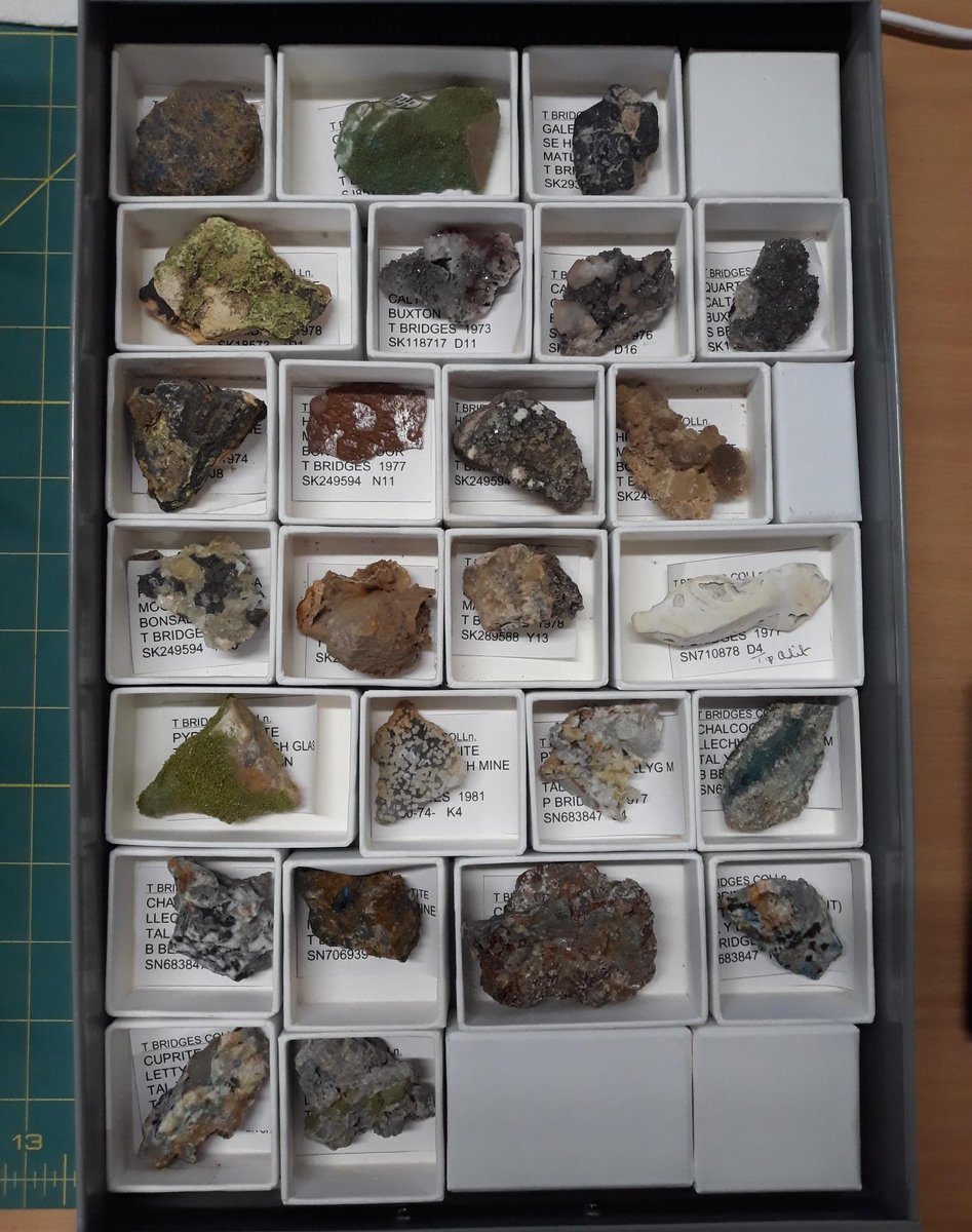 Sometimes happiness is a drawer where all the specimen boxes tessellate perfectly 👌💎 #minerals #MuseumLife #curation
