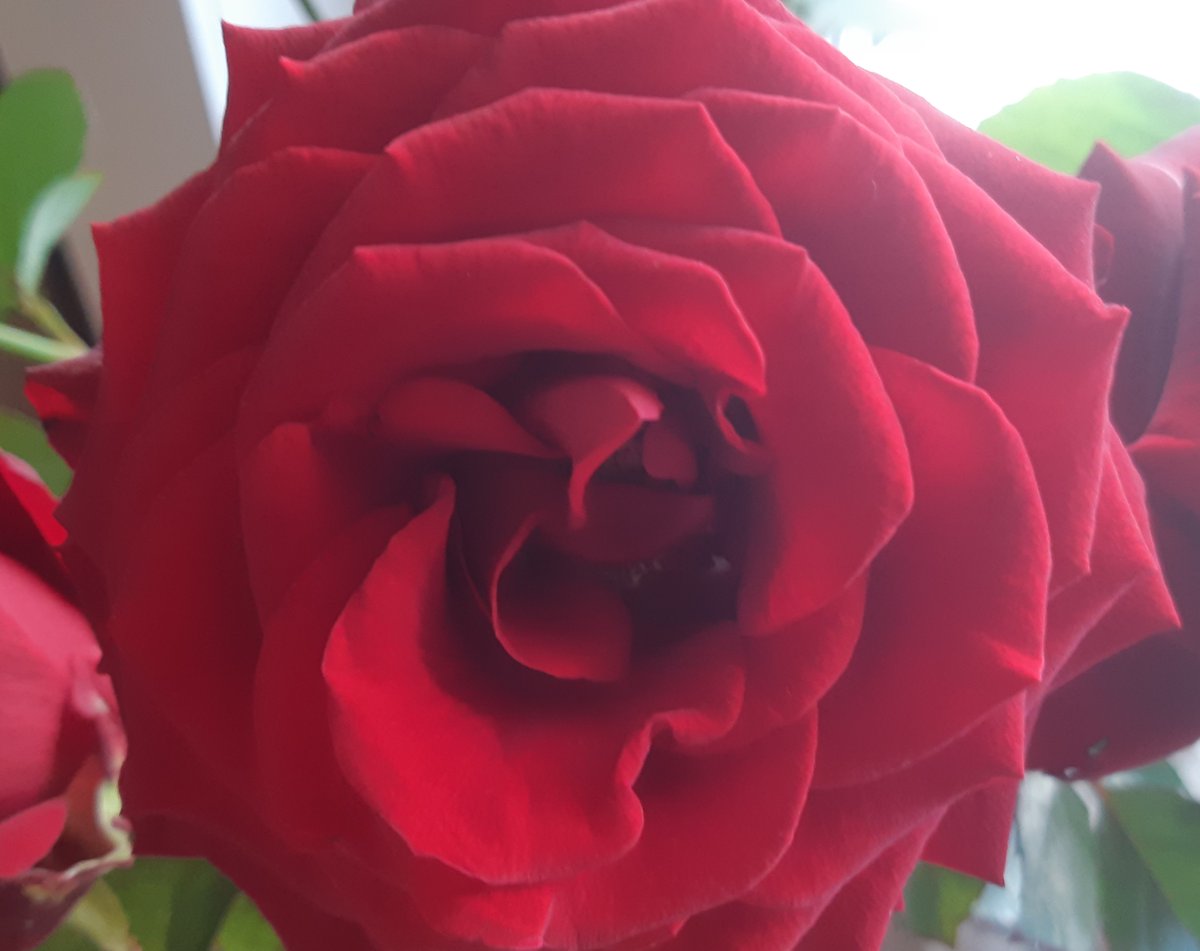 Morgen die nu vandaag is ... sprankelendefontein.blogspot.com/2023/10/morgen… 

We hebben ons vast allemaal weleens verbaasd, dat morgen anders bleek door wat we in het vandaag van gisteren niet zagen ....

#dedagislangerdanvandaag #gistereninvandaag #blijktanders #verbaasd #vandaag