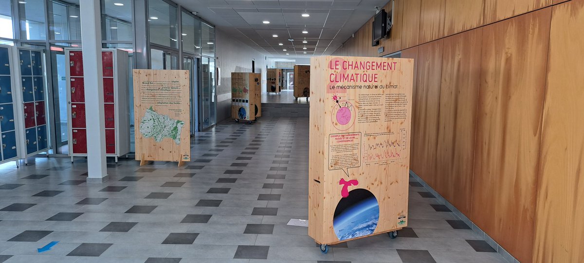 2SarresLorquin's tweet photo. Les travaux de rénovation continuent au collège pour préparer l'arrivée du nouveau Lieu d'Art et de Culture #LAC ! En attendant, nous accueillons une première exposition éphémère sur "Les forêts du Grand Est à l'épreuve du réchauffement climatique" ! @ONF_Officiel #COFOR https://t.co/LvtFPKSYGF