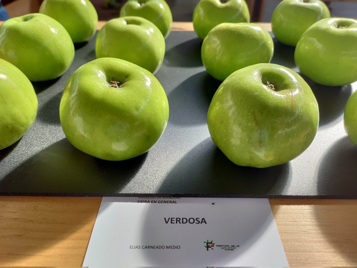 sendarural's tweet photo. Así de coloridas y coquetas lucen las protagonistas en el Festival de la Manzana en #Villaviciosa #Asturias 
Actividades para todas las edades en https://t.co/dn088K39hw 
#ComarcadelaSidra #CulturaSidrera #Cider https://t.co/MxqkHZ5tYb