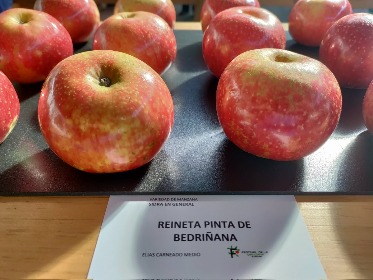 sendarural's tweet photo. Así de coloridas y coquetas lucen las protagonistas en el Festival de la Manzana en #Villaviciosa #Asturias 
Actividades para todas las edades en https://t.co/dn088K39hw 
#ComarcadelaSidra #CulturaSidrera #Cider https://t.co/MxqkHZ5tYb