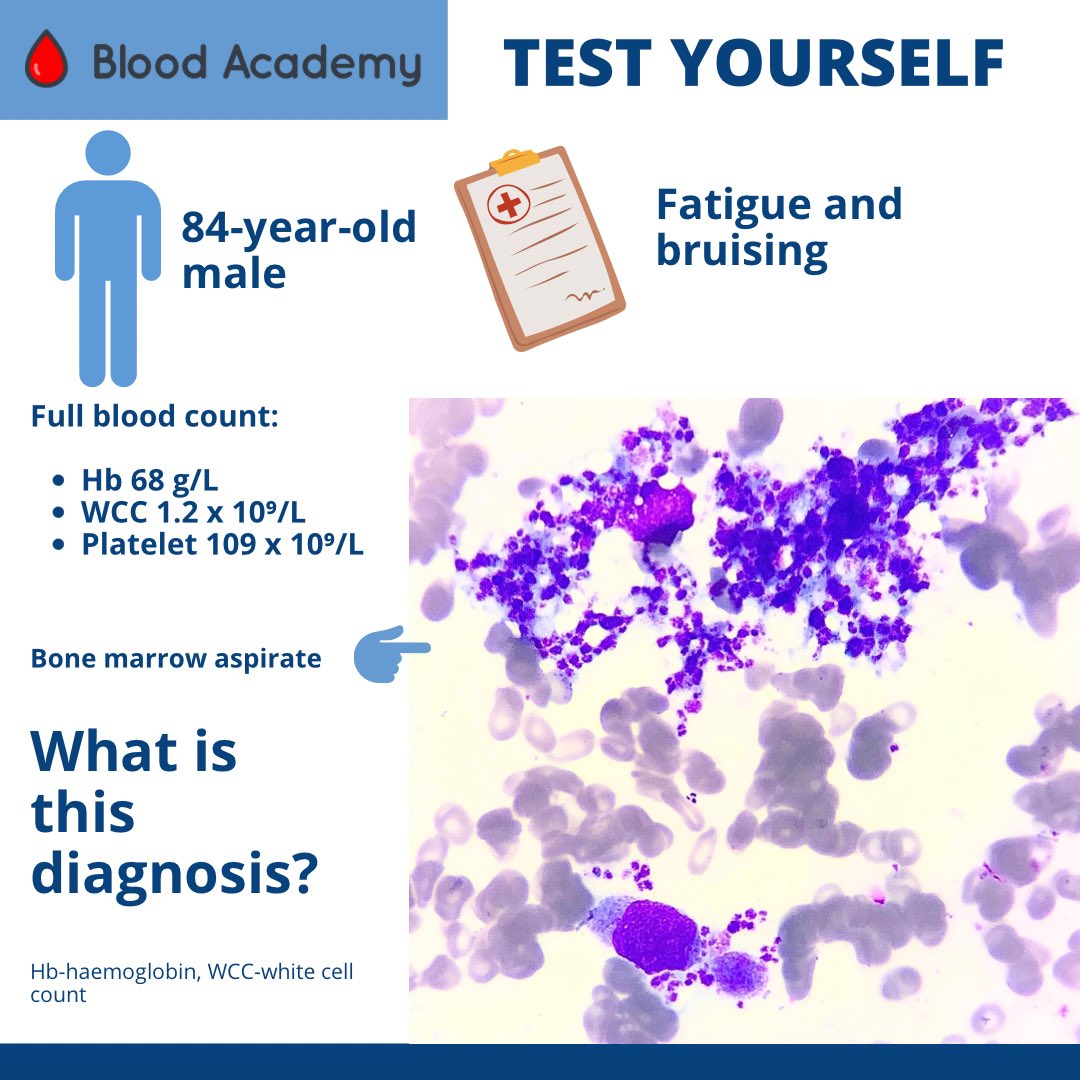 Blood Academy tweet media