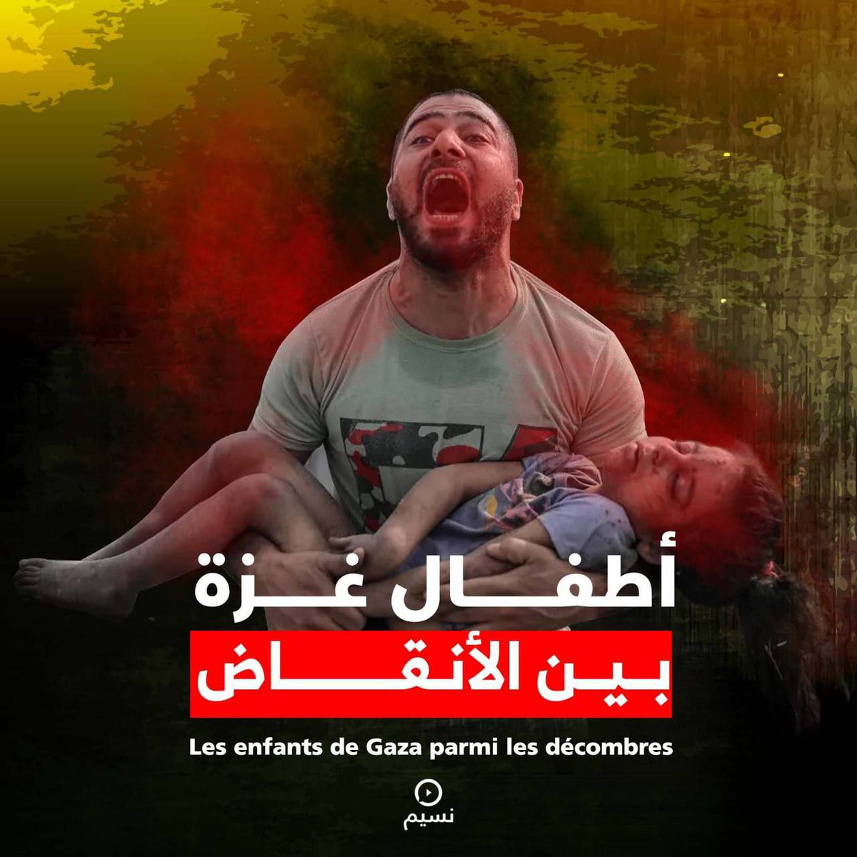 '

ربّـمـا قد امـتـلأت السّمـاءُ بأصـواتِ طائــراتِ الـقـتلِ والأنـيـنِ ودعـــواتِ الثڪالى وصراخِ الـقـهـرِ وأرواحِ مـلاعـبِ الأطـفـال..
حربنـا معڪم في السّمـاءِ ڪما هــي فـــي الأرض ….

أطفـال غـزة بيـن الأنقـاض

#طوفان_الأقصى